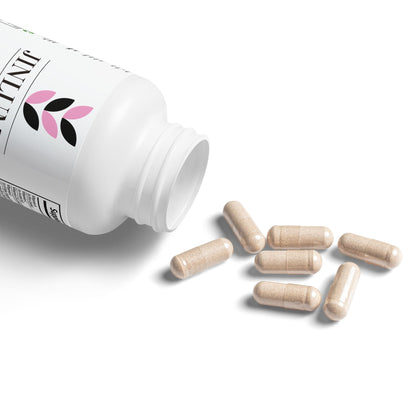 Brain Support Complex